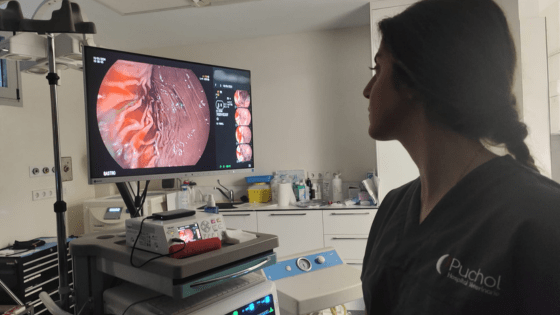 Veterinaria haciendo endoscopia