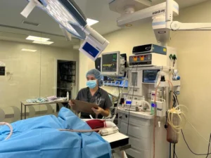 neurología veterinaria en madrid