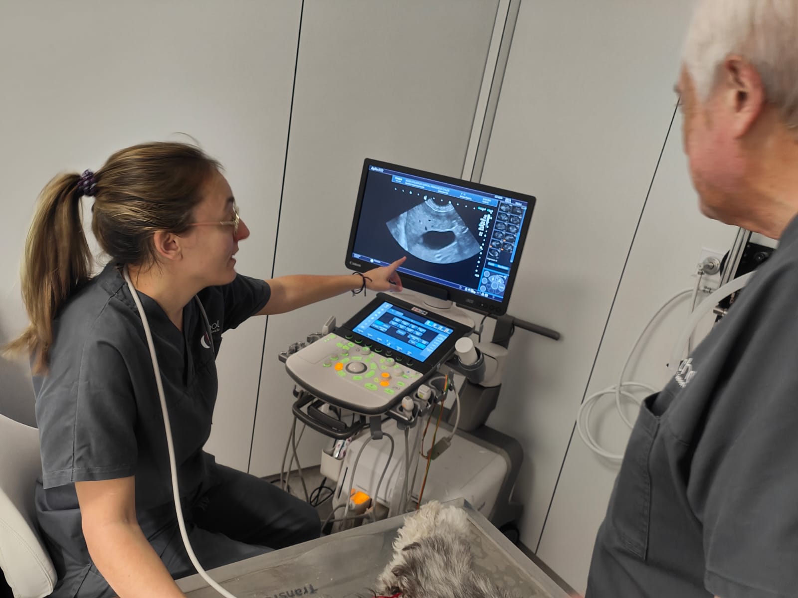 Imagen 4E: Ecografía abdominal en un paciente